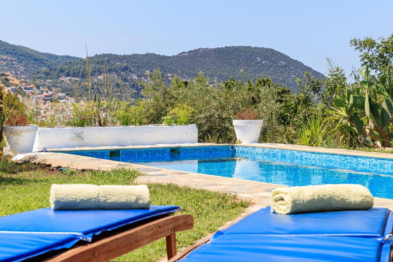 Villa Rodia With Swimming Pool On Skopelos Island Buitenkant foto